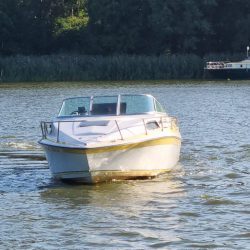 Motorboot Dynasty 220, Bj: 1991, Mercruiser V8, INKL. TRAILER !!!