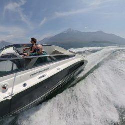 Performance 901 wie NEU zu verkaufen