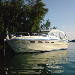 Wellcraft Suncruiser 310