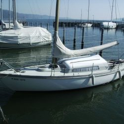 IMG_0954