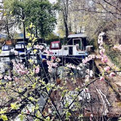 Holländisches Kajütboot in Berlin